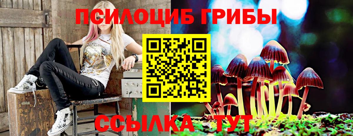 Галлюциногенные грибы Cubensis Нурлат